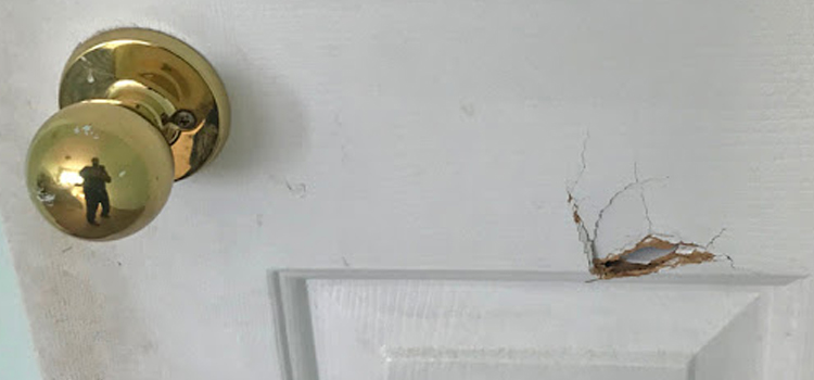 interior door hole repair Riverbank